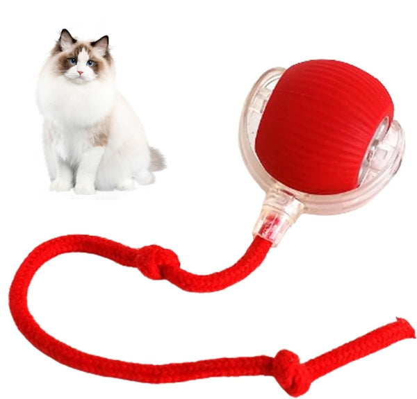 RolliePet smart chase pet toy ball