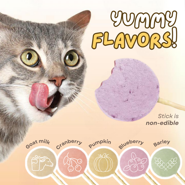 Lollipop Cat Treat